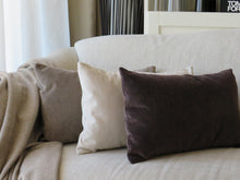 Load image into Gallery viewer, Cream Velvet Rectangle Cushion