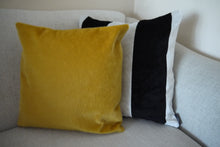 Load image into Gallery viewer, Monochrome Velvet Stripe Cushion